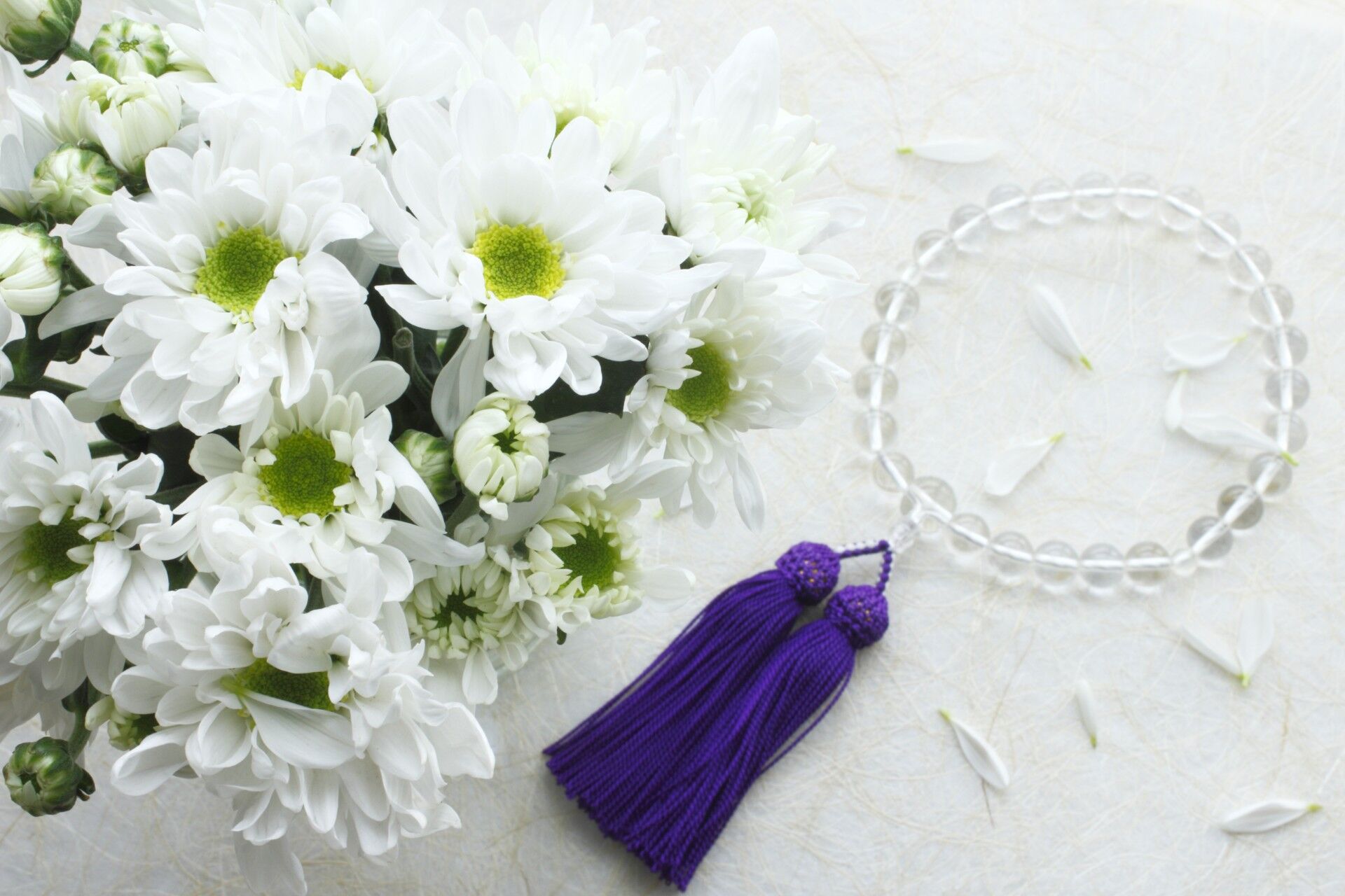 AdobeStock_113007547
